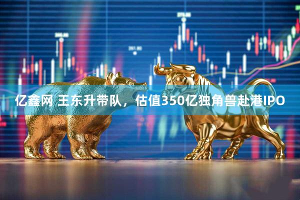 亿鑫网 王东升带队,估值350亿独角兽赴港IPO