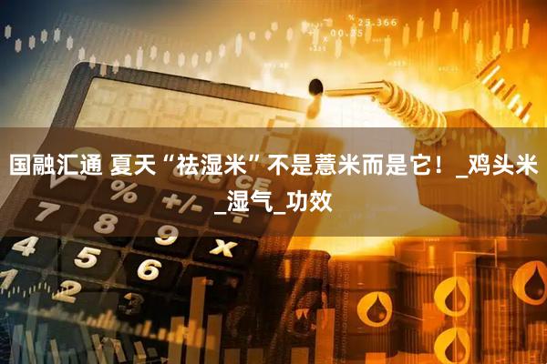 国融汇通 夏天“祛湿米”不是薏米而是它！_鸡头米_湿气_功效