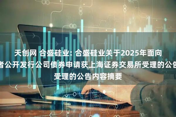 天创网 合盛硅业: 合盛硅业关于2025年面向专业投资者公开发行公司债券申请获上海证券交易所受理的公告内容摘要