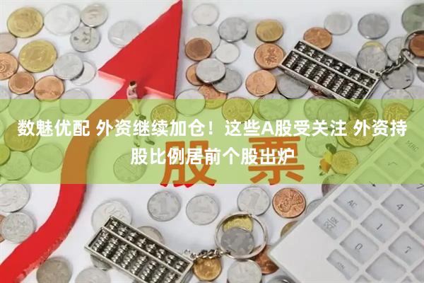数魅优配 外资继续加仓!这些A股受关注 外资持股比例居前个股出炉