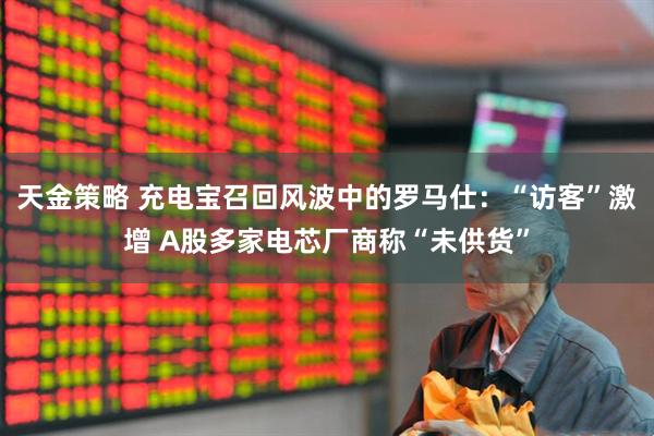 天金策略 充电宝召回风波中的罗马仕:“访客”激增 A股多家电芯厂商称“未供货”