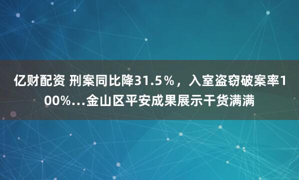 亿财配资 刑案同比降31.5％，入室盗窃破案率100%…金山区平安成果展示干货满满