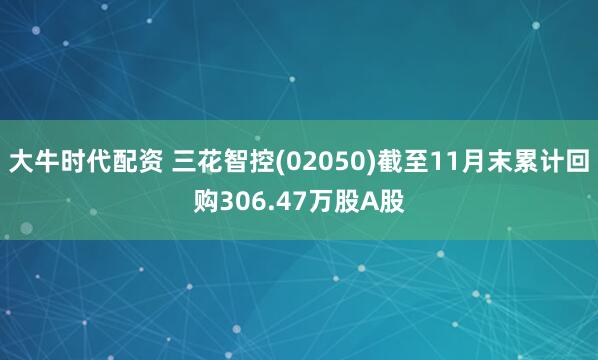 大牛时代配资 三花智控(02050)截至11月末累计回购306.47万股A股