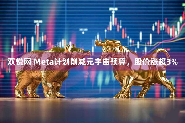 双悦网 Meta计划削减元宇宙预算，股价涨超3%