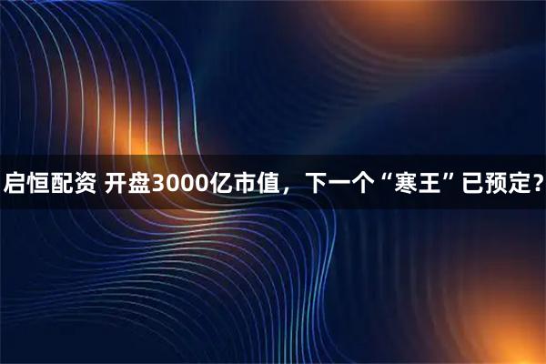 启恒配资 开盘3000亿市值，下一个“寒王”已预定？