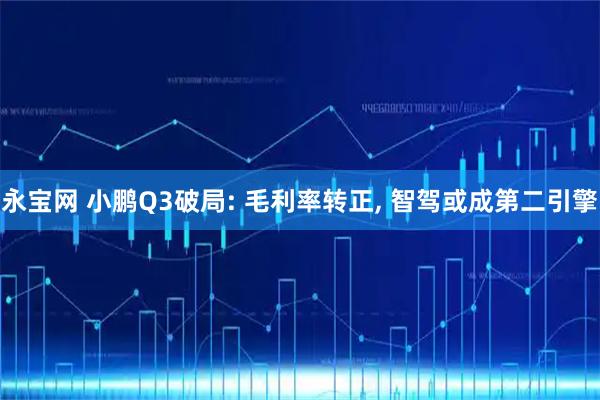永宝网 小鹏Q3破局: 毛利率转正, 智驾或成第二引擎