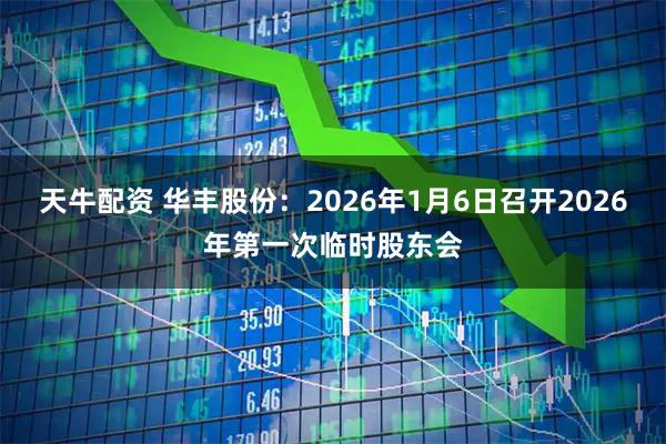 天牛配资 华丰股份：2026年1月6日召开2026年第一次临时股东会